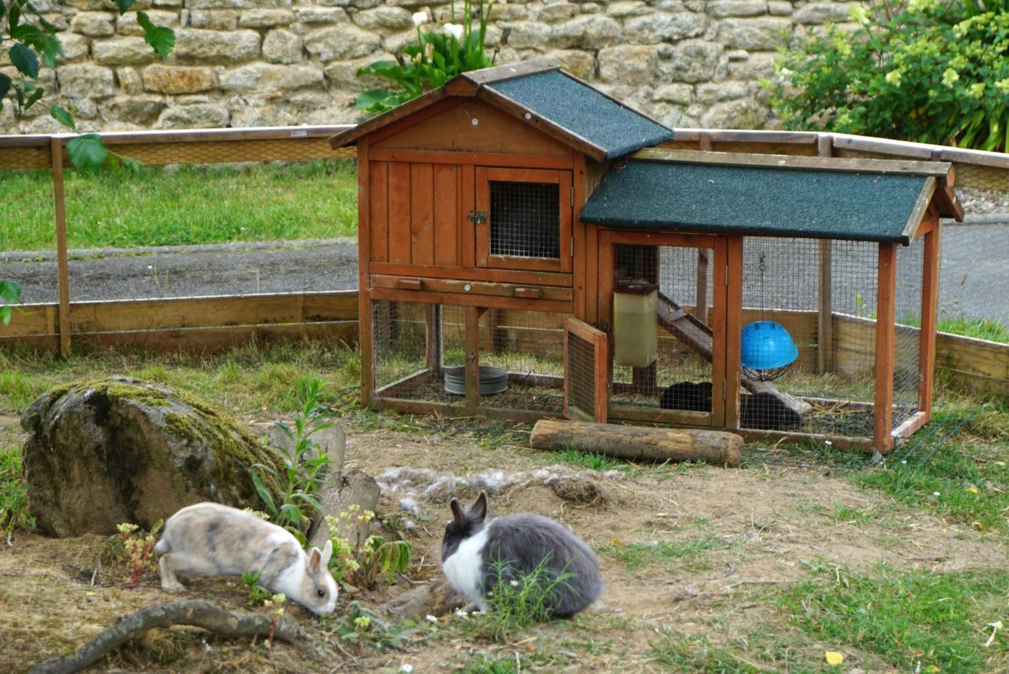 Auberge Ti'Gousket Guingamp Buitenkant foto